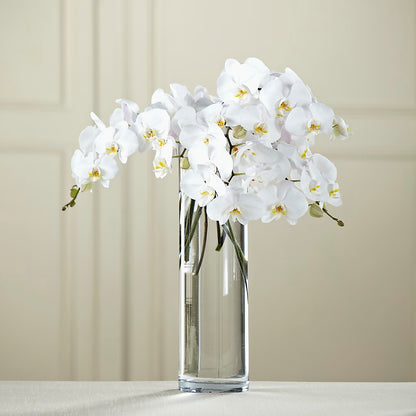 White Phalaenopsis Bouquet –  Infinity Floral, Osseo MN